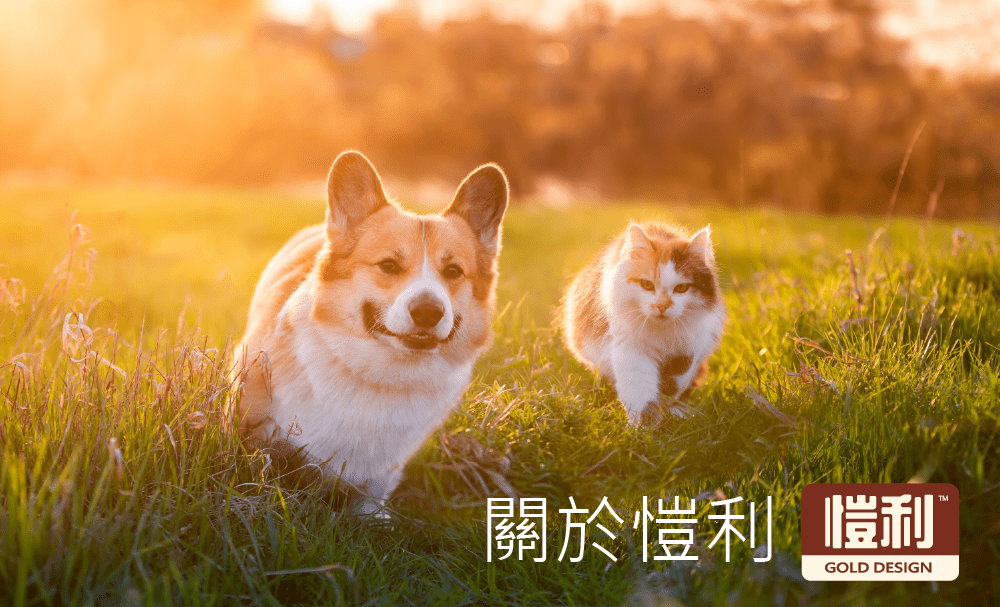 5. 關於愷利1