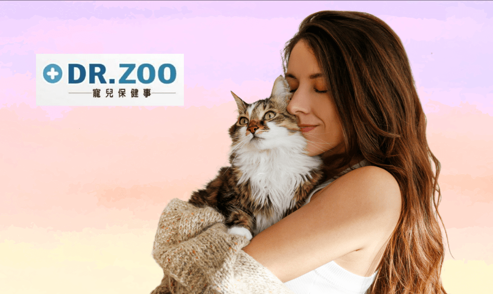 上方欄 保健系列