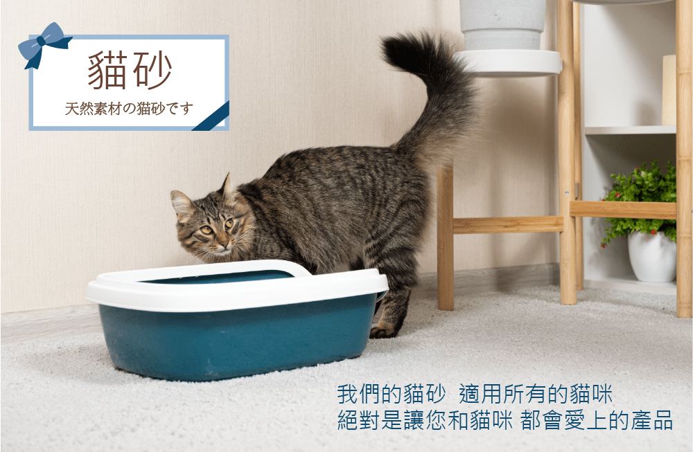 上方欄 貓砂