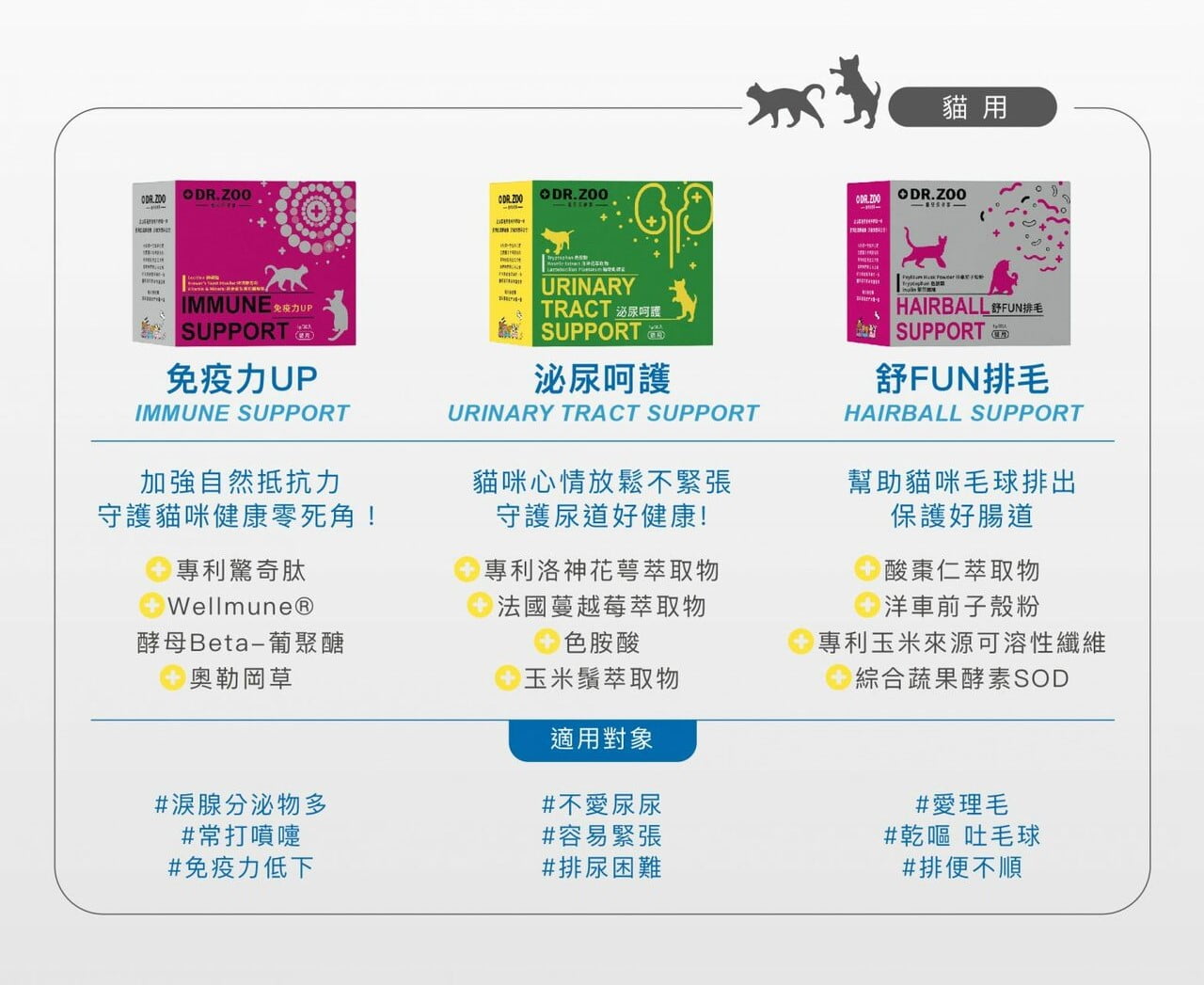 免疫力 12