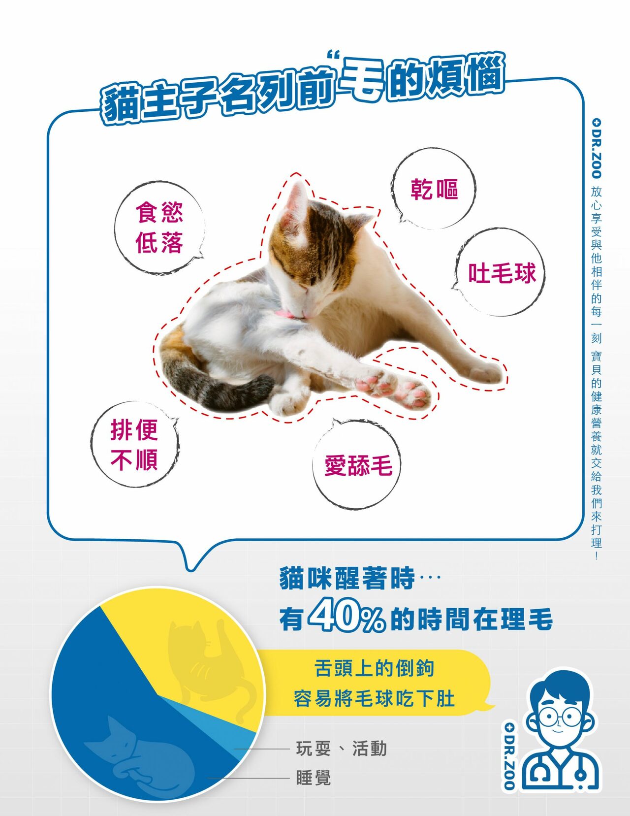 排毛 2