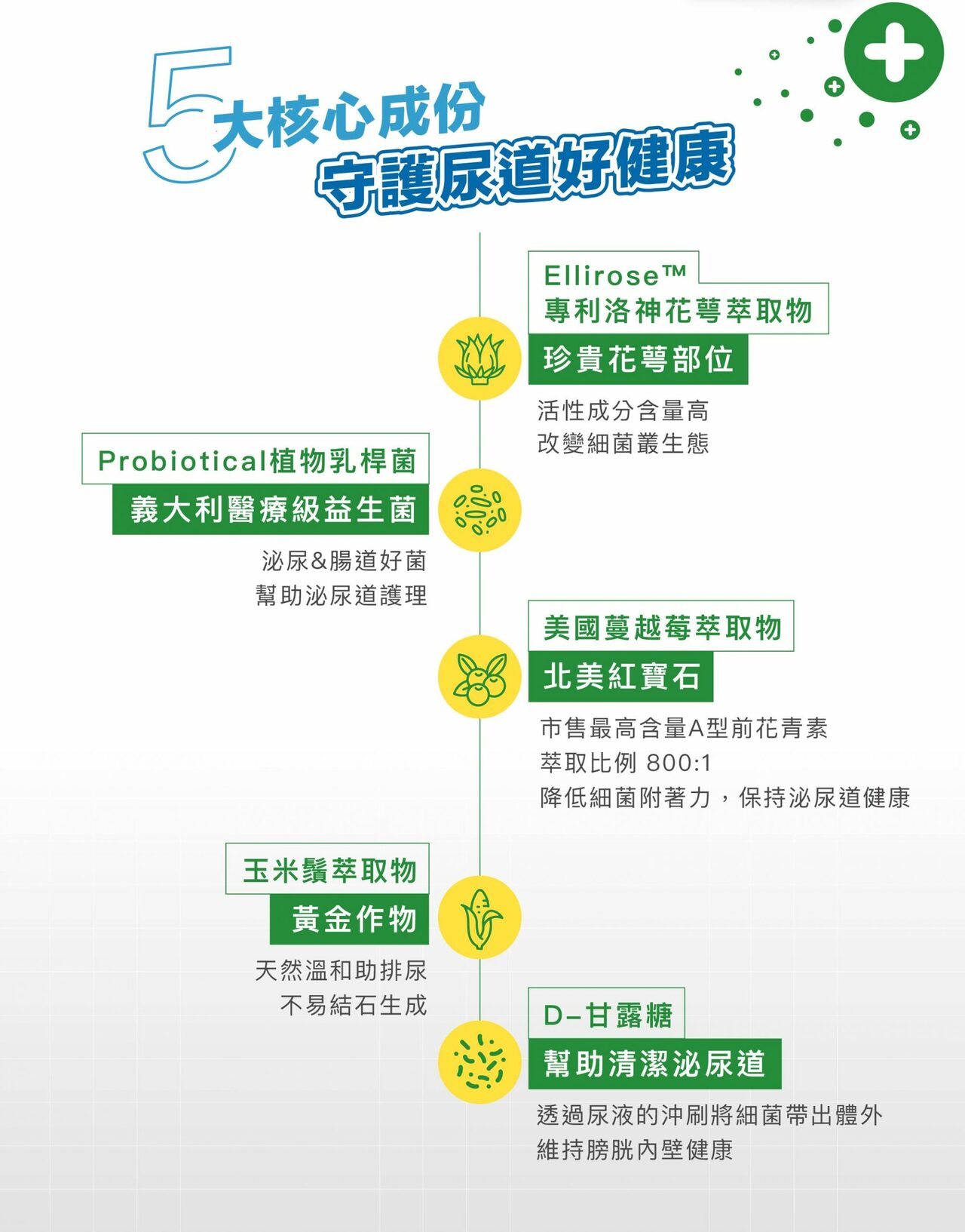 泌尿呵護 4