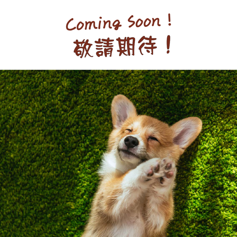 狗狗 肉乾 (coming Soon)