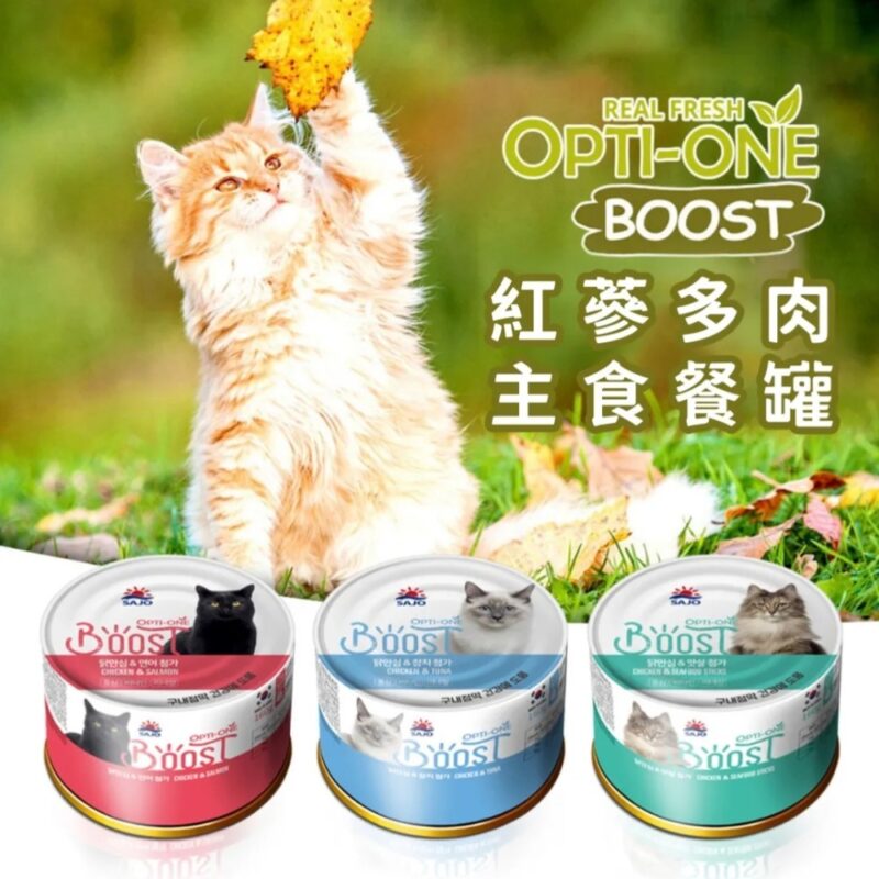 【貓咪罐罐】OPTI-ONE 歐力｜Boost紅蔘多肉主食罐系列 160g